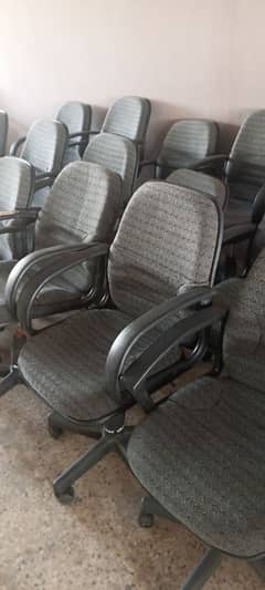 Chairs in Bulk