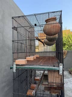 Cage for parrots