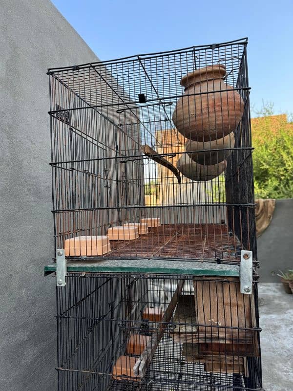 Cage for parrots 1