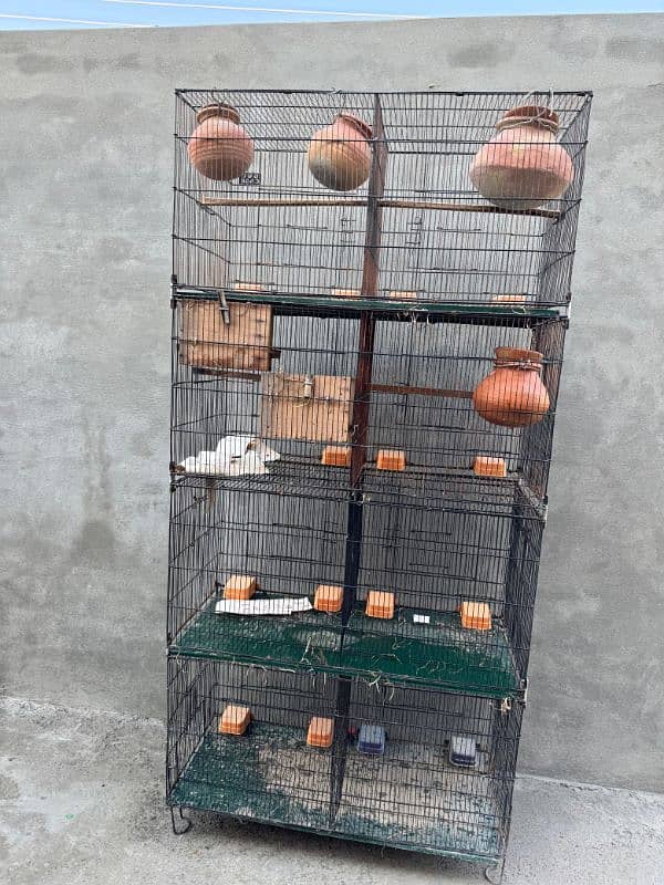 Cage for parrots 2