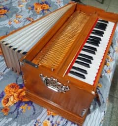 Professional harmonium