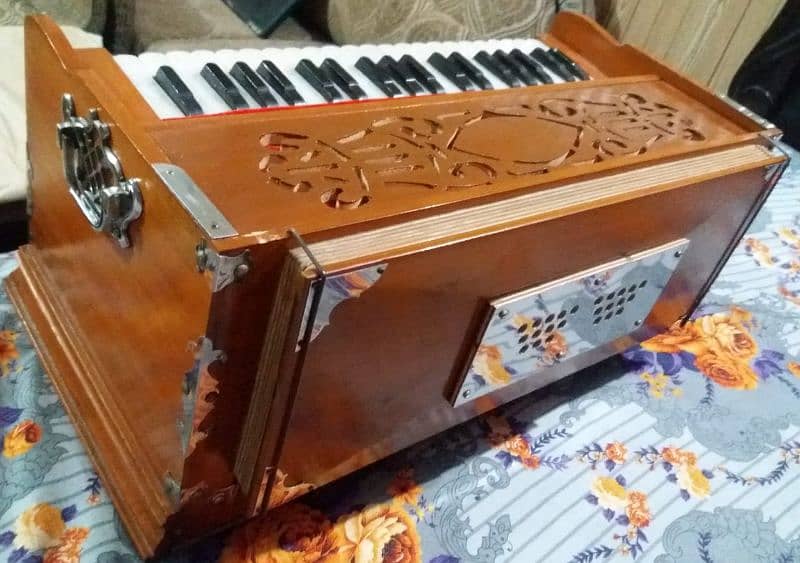 Professional harmonium 1