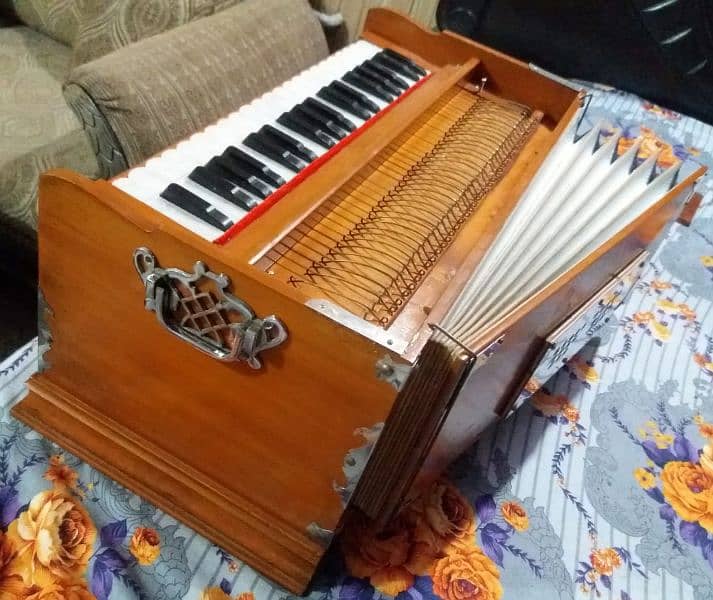 Professional harmonium 2