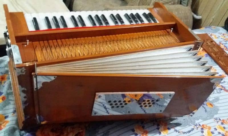 Professional harmonium 3