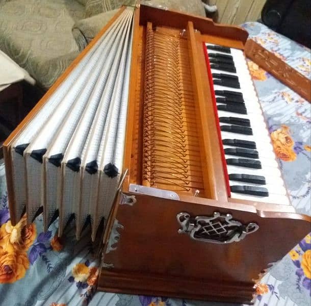 Professional harmonium 5