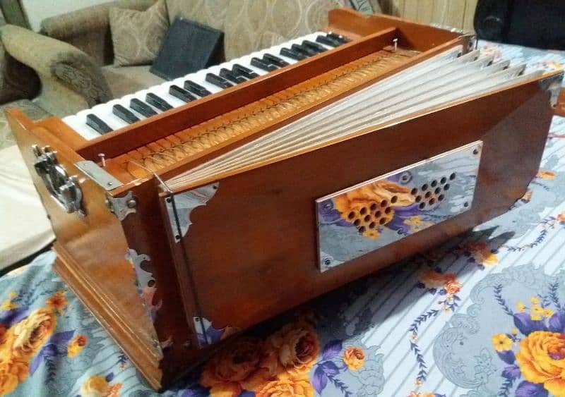 Professional harmonium 6