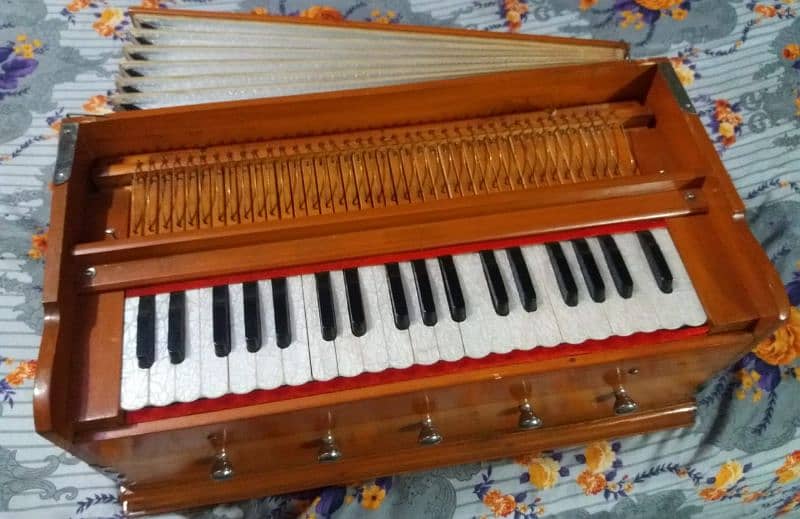 Professional harmonium 7