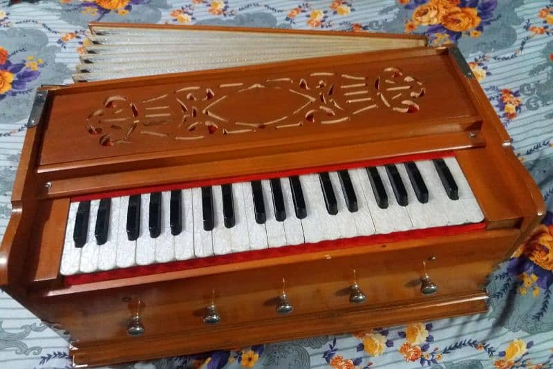 Professional harmonium 8