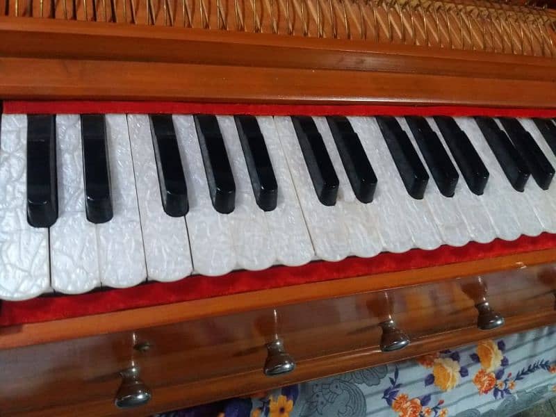 Professional harmonium 9