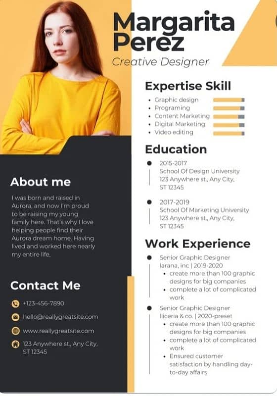 Professional Cv/Resume And Logo Designing 1