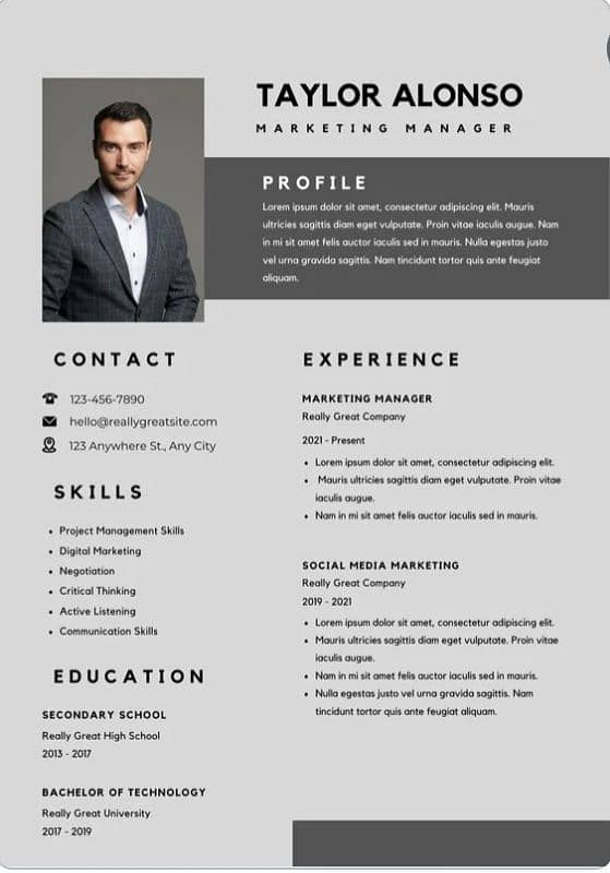 Professional Cv/Resume And Logo Designing 2