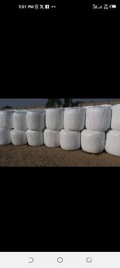 high Quality Silage Available