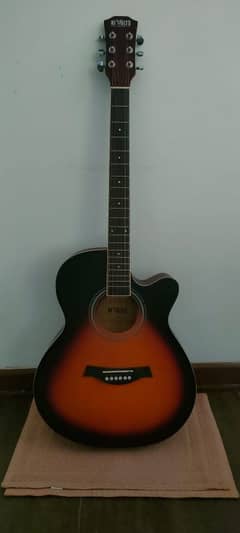 acoustic guitar classic new