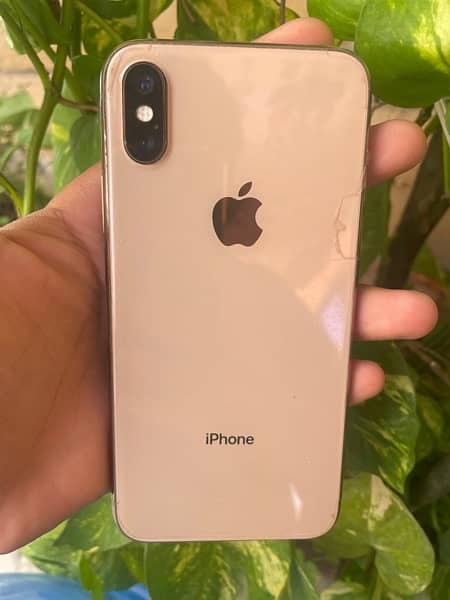 iPhone Xs • 256gb Nonpta 5