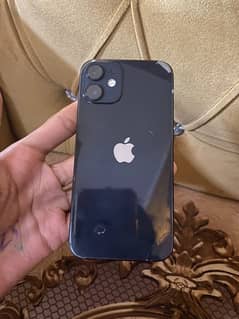 iphone 12 mink 0