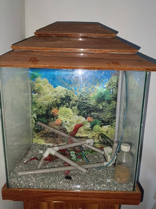 fish aquarium brand new 1