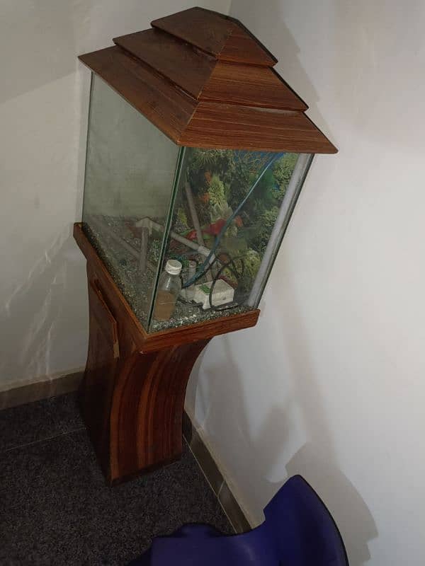 fish aquarium brand new 2