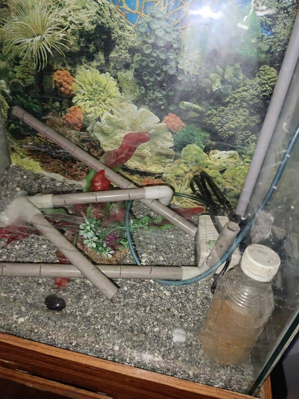 fish aquarium brand new 3