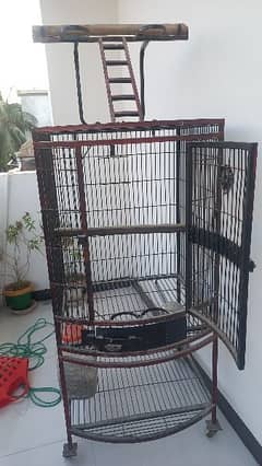 grey parrot cage