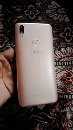 vivo