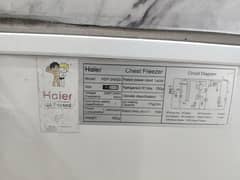 Haier Single Door Freezer