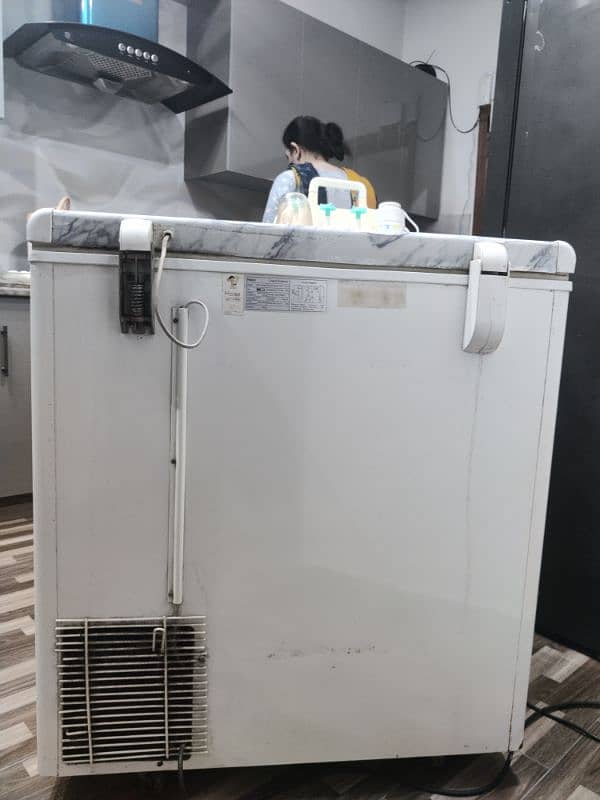 Haier Single Door Freezer 1