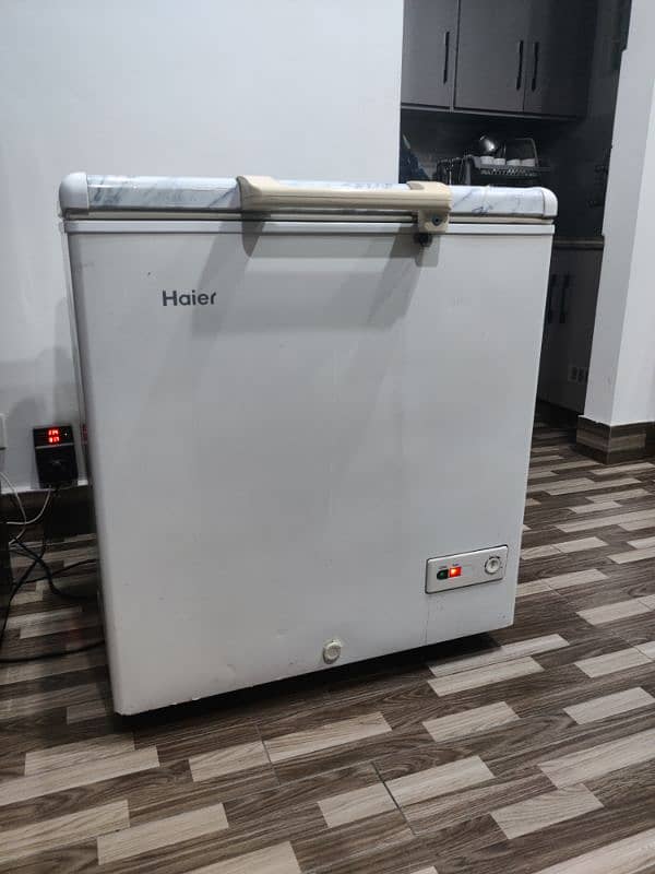 Haier Single Door Freezer 3