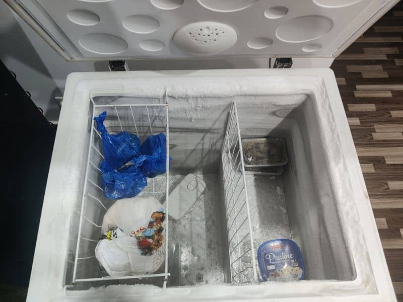 Haier Single Door Freezer 4