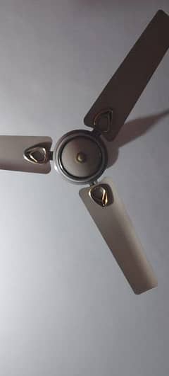 Ceiling Fans 0