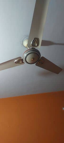 Ceiling Fans 1