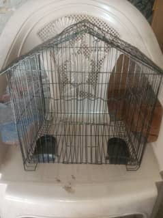 small parot Cage