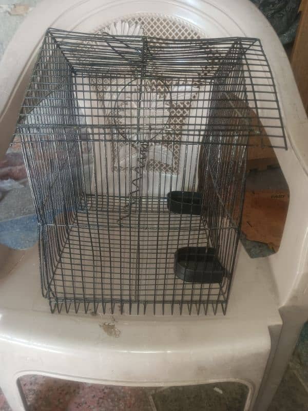 small parot Cage 1