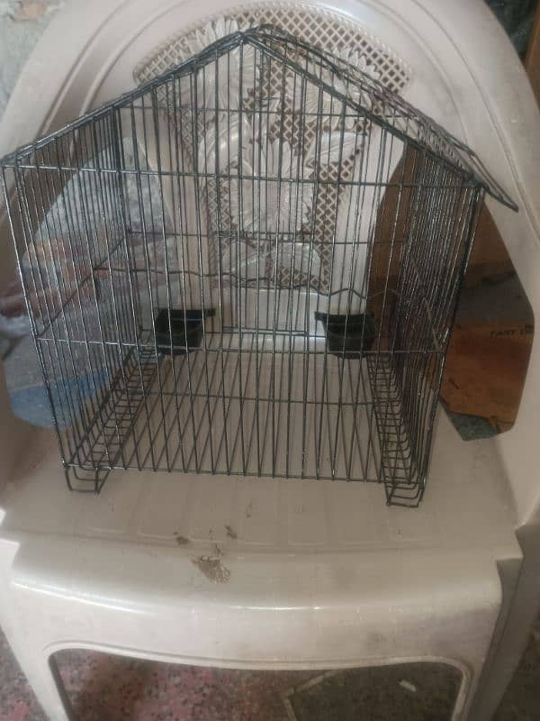 small parot Cage 2