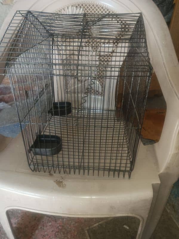 small parot Cage 3