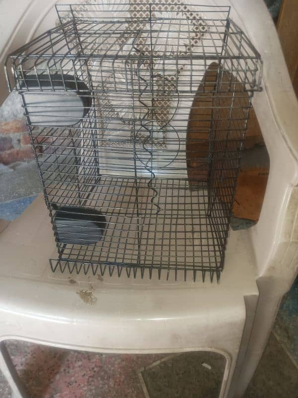 small parot Cage 5