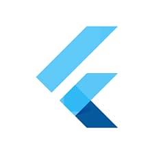 Require a flutter developer