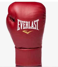 punching bag with gloves ever last