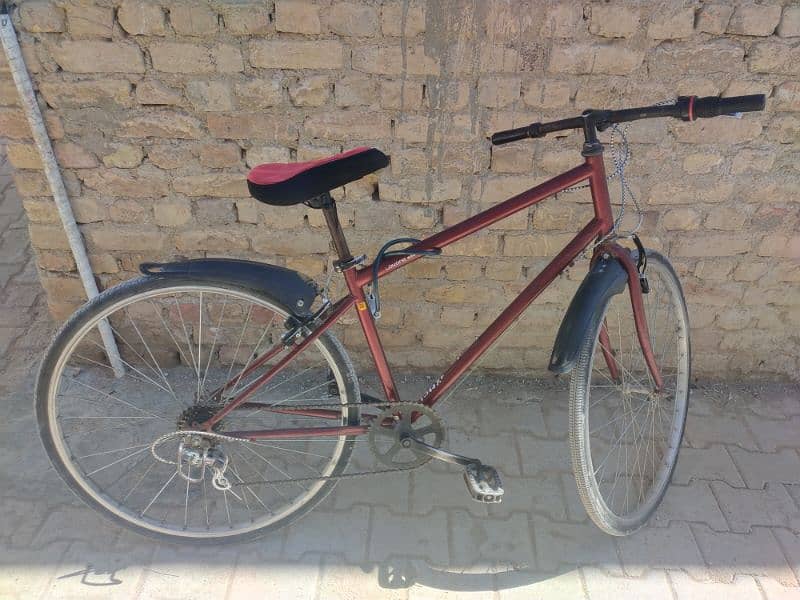 BICYCLE 7 GARE 1