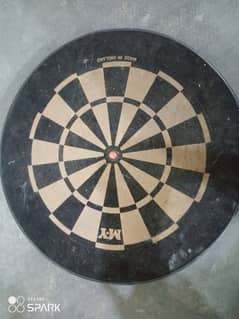 professional dart game