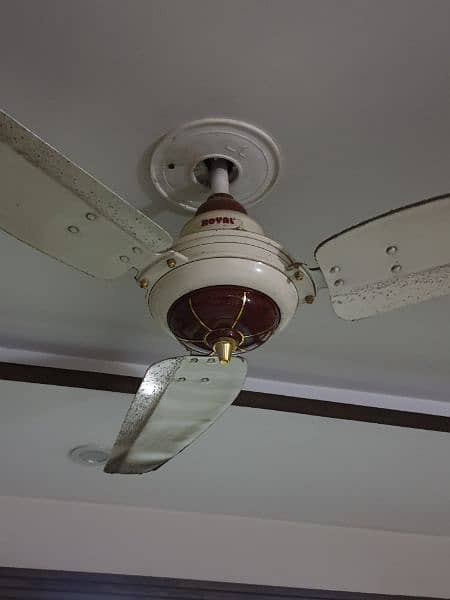 Royal Fan Non Inverter 1