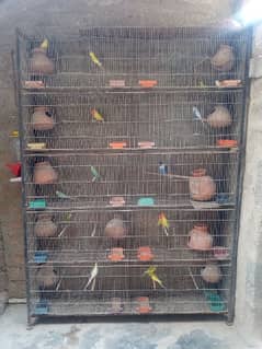 Folding & allbox sepreted Cage for birds