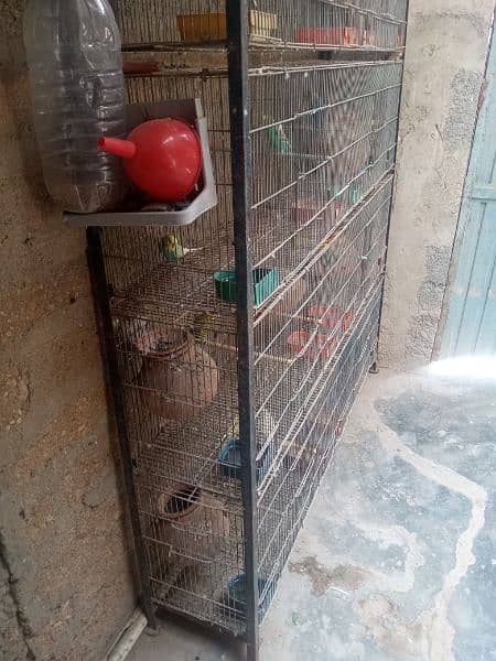 Folding & allbox sepreted Cage for birds 3