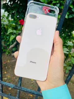 iphone 8 plus  256 Gb  approved 100%