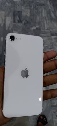 iphon se 2020 pta approved