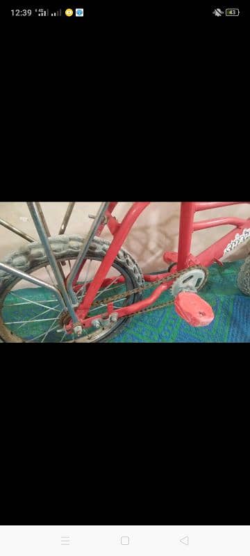 cycle for sell Only larkana 3