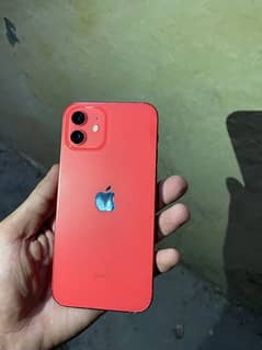 iPhone 12 (64 GB, Red) - Water Pack, Face ID, 91% Battery Health