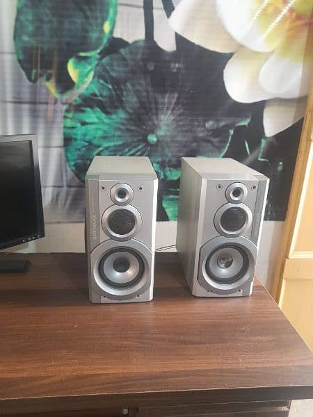 Speakers Panasonic 1