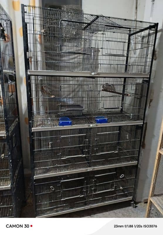 All Cages For sale Complete Setup 7