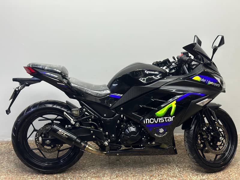 KAWASAKI NINJA DUAL CYLINDER REPLICA 6