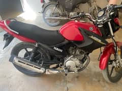 Yamaha YBR 125 2019 For Sale